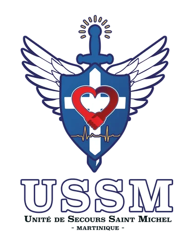 Logo USSM