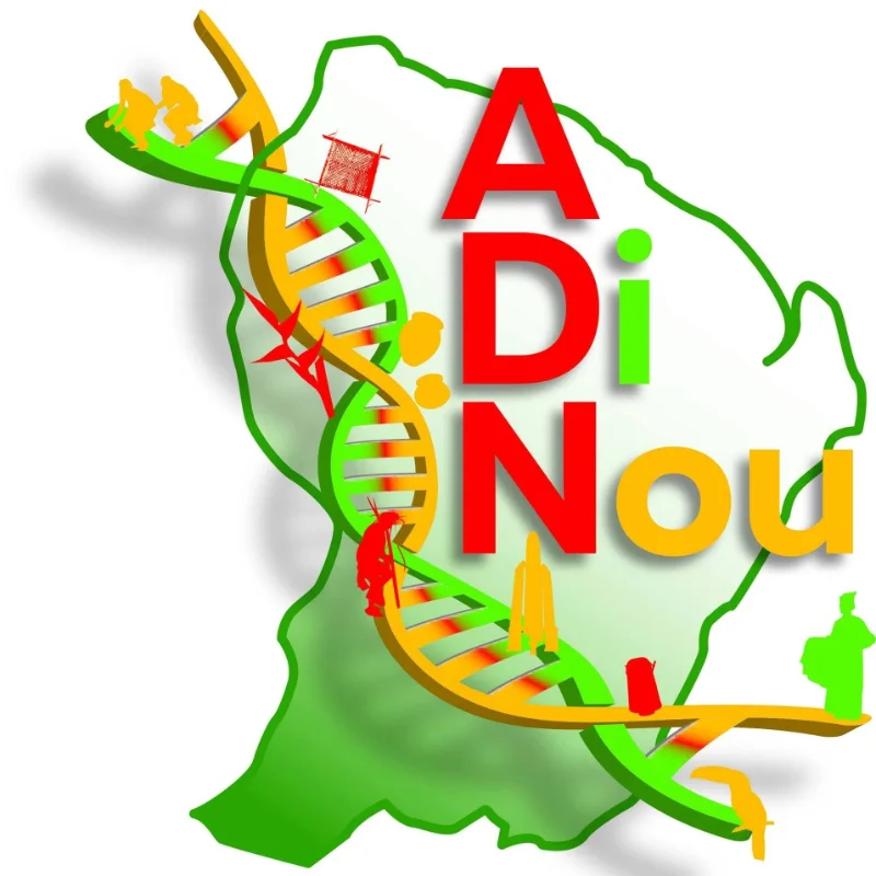 Logo A DI NOU