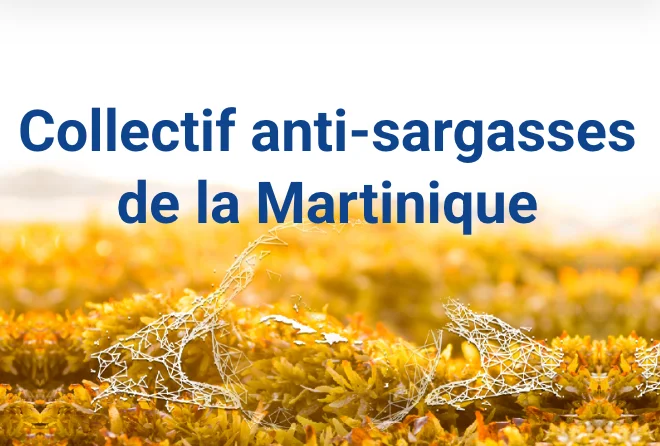 Logo Collectif anti-sargasses