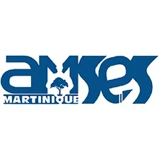 Logo AMSES