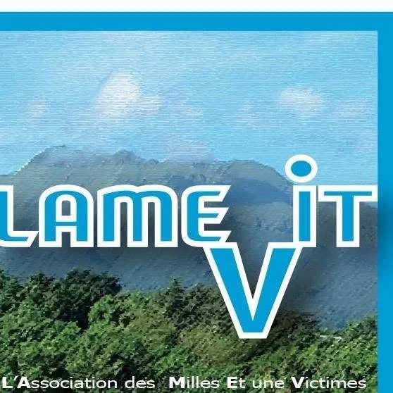 Logo Lamevi