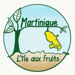 Logo ANFAM