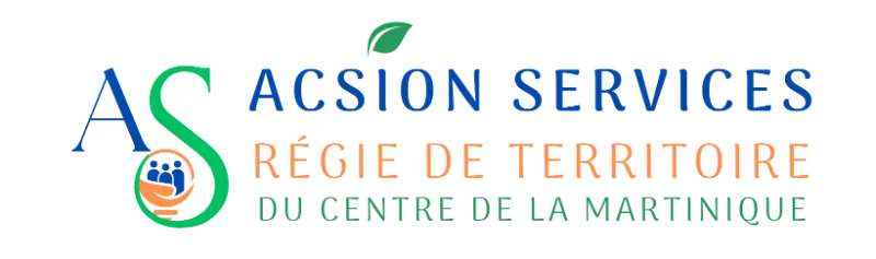 Logo Acsion Services