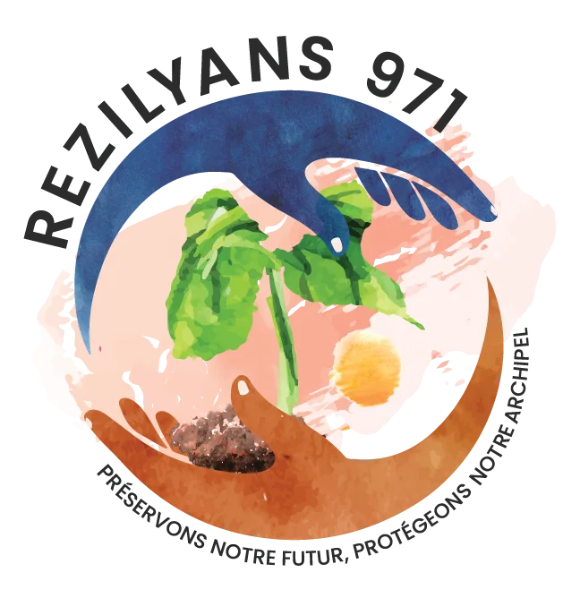 Logo Rézilyans 971