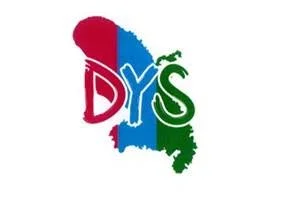 Logo DYS Martinique